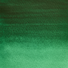 Image Nuance Vert de Guignet WN